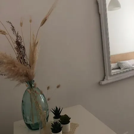 A Cas E Rosa Apartment Forio  Exterior photo