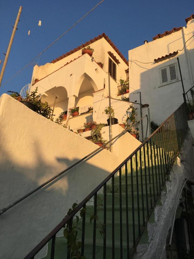 A Cas E Rosa Apartment Forio (Isola d'Ischia)
