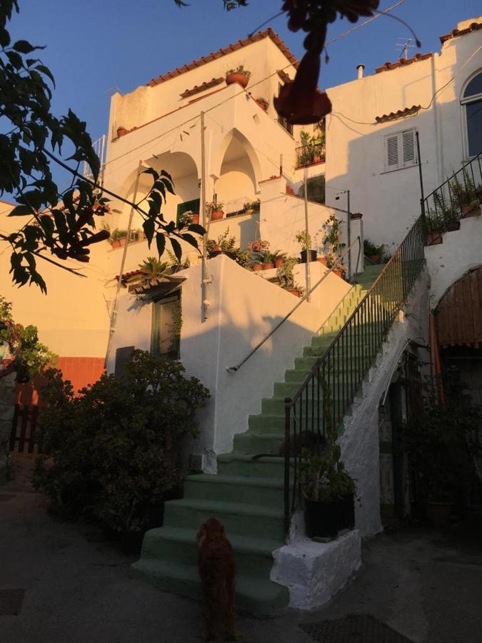 Apartment A Cas E Rosa Forio (Isola d'Ischia)