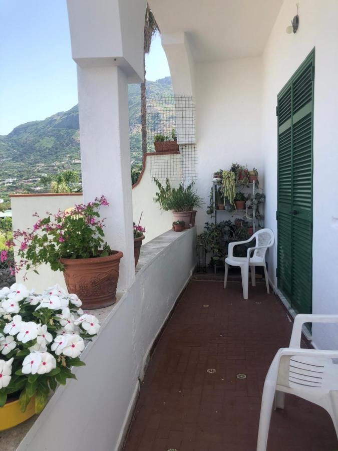 Apartment A Cas E Rosa
