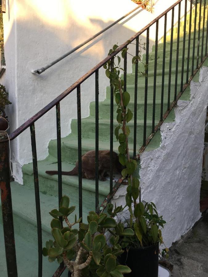 A Cas E Rosa * Forio (Isola d'Ischia)